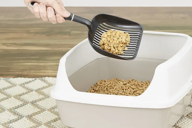 Pine Cat Litter: Pros, Cons, & Things to Know