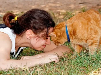 My Cat Is Pressing Their Head Against Me, Should I Worry? Vet-Approved Facts, Causes & Care Tips