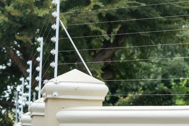 Do Electric Fences Work On Cats? Vet Approved Advice