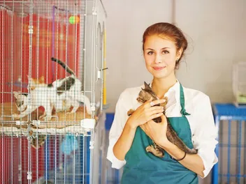 9 Ways You Can Help as a Cat Shelter Volunteer (Vet-Reviewed)
