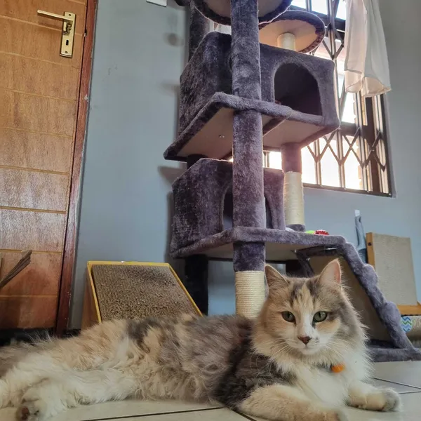 My kingdom