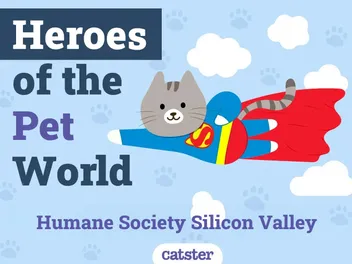 Humane Society Silicon Valley | Heroes of the Pet World