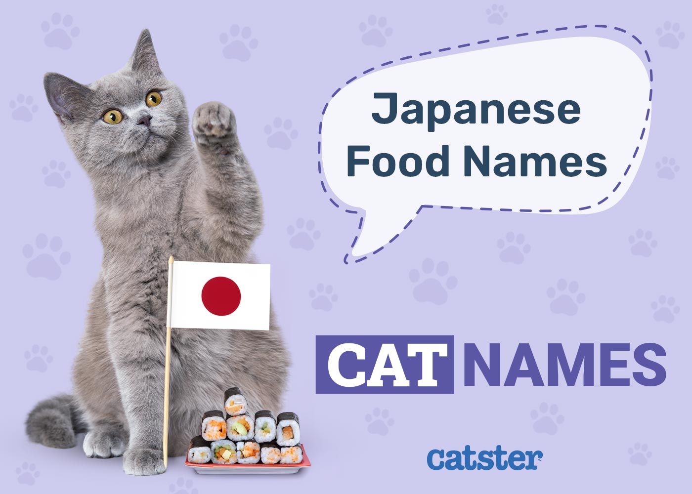 Japanese Food Names For Cats