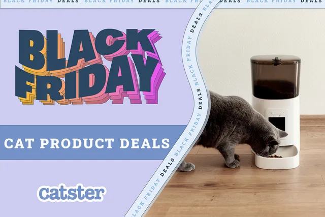 Black Friday/Cyber Monday Cat Products & Supplies Deals in 2026