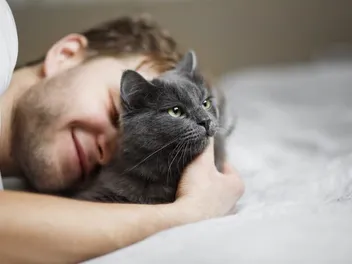 19 Important Cat Terms Every Cat Owner Should Know (2026 Update)