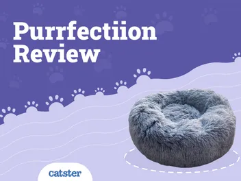 Purrfectiion Fluffy Cat Bed Review 2026: Pros, Cons & Verdict