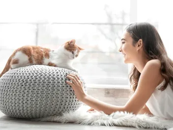 Are You a Cat Magnet? Tips on How to Get Cats to Love You
