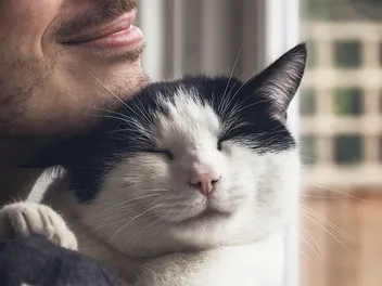 Why Do Cats Like Beards? 7 Vet-Reviewed Reasons
