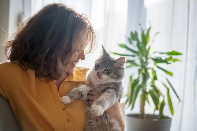 Why Do Cats Like Wet Hair? 9 Vet-Reviewed Reasons