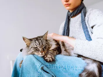 National Animal Safety and Protection Month 2026: When it Is & How to Participate