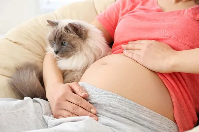 How to Prepare Your Cat for a New Baby: 7 Vet-Approved Tips