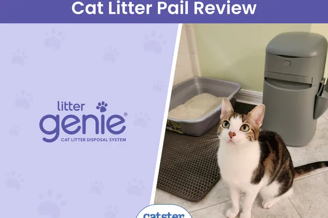 Litter Genie Easy Roll Pail Review 2026: A Detailed Look