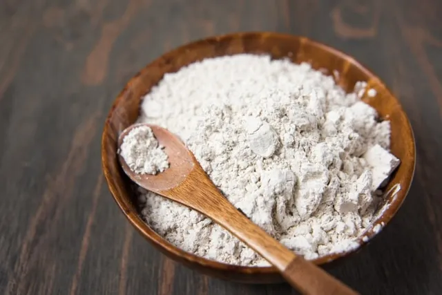 Does Diatomaceous Earth Kill Fleas on Cats? Vet-Reviewed Effectiveness & Safety
