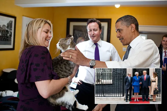 Celebrating 15 Years as the Most Popular Resident of No. 10 Downing Street