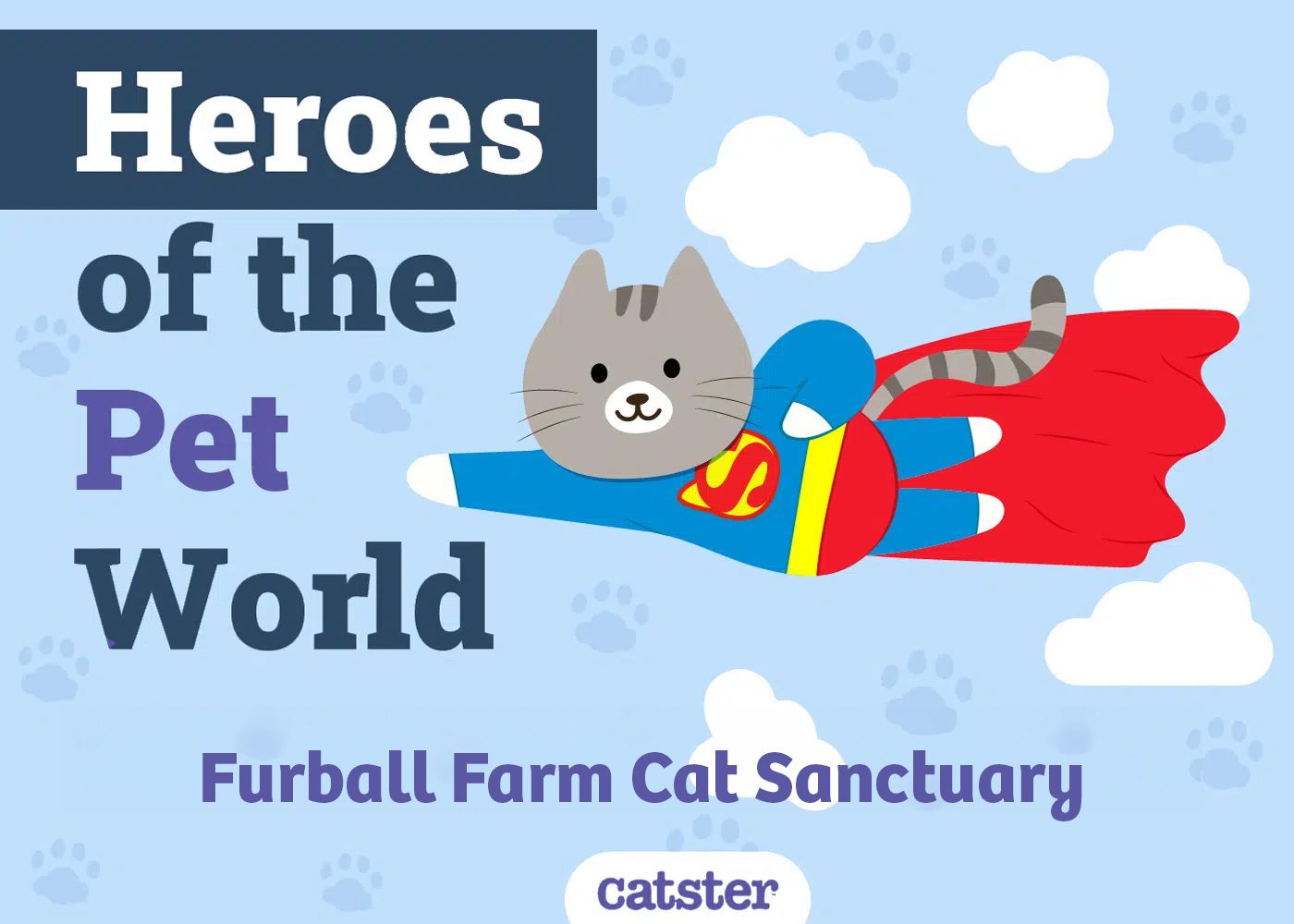 Furball Farm Cat Sanctuary Featured Image