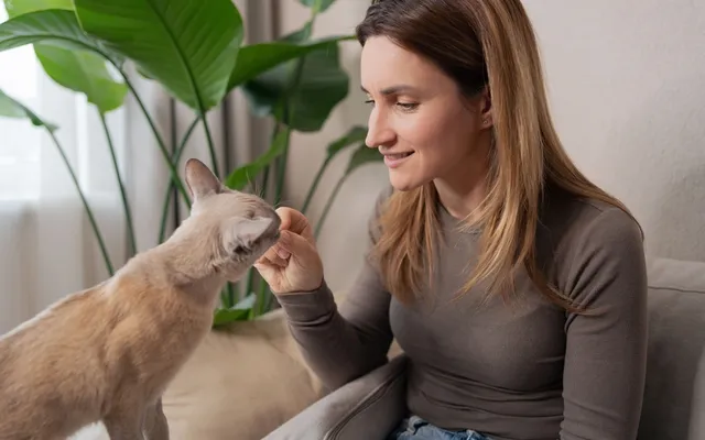 National Treat Your Pet Day 2026: History & Celebration Tips