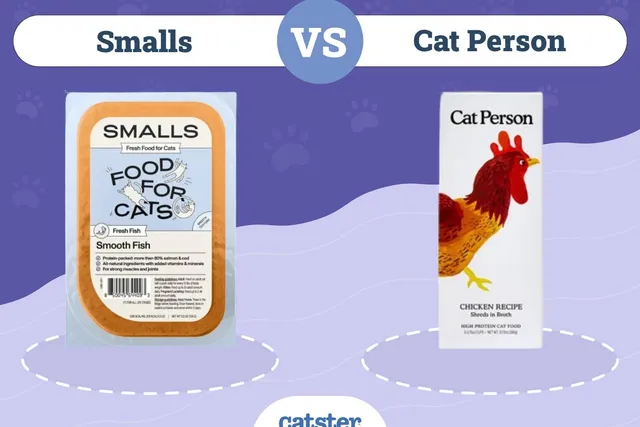Smalls vs Cat Person: Pros, Cons & Our Verdict