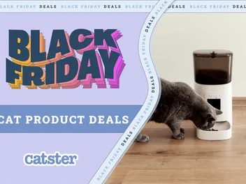 Black Friday/Cyber Monday Cat Products & Supplies Deals in 2026
