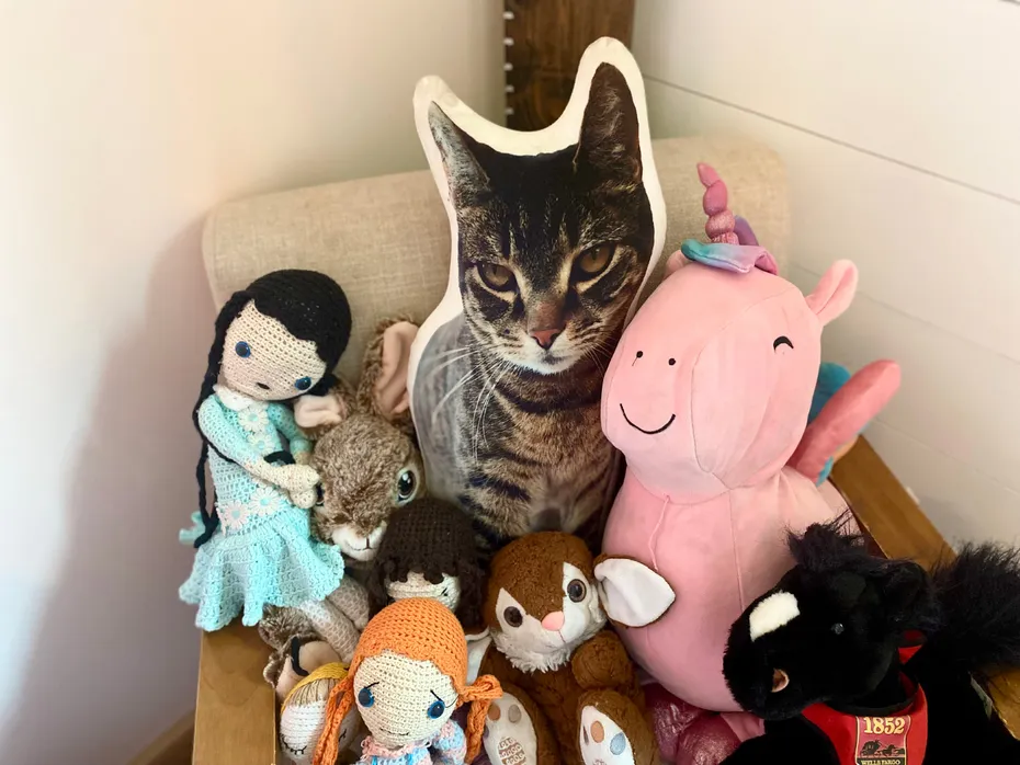 All About Vibe Custom Cat Pillow - mojave's pillow with other stuffed toys