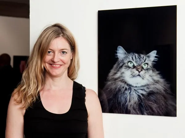 Cat Art Show - Dawn Bowery