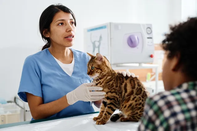 Parkinson's in Cats (Wolff-Parkinson-White Syndrome): Our Vet Explains Prevention, Signs & Treatment