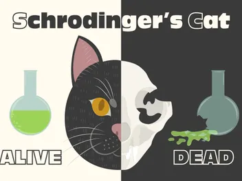 Who Is Schrodinger's Cat? We Explain It for Cat People