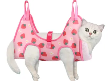 6 Best Cat Grooming Harnesses in 2026 - Reviews & Top Picks