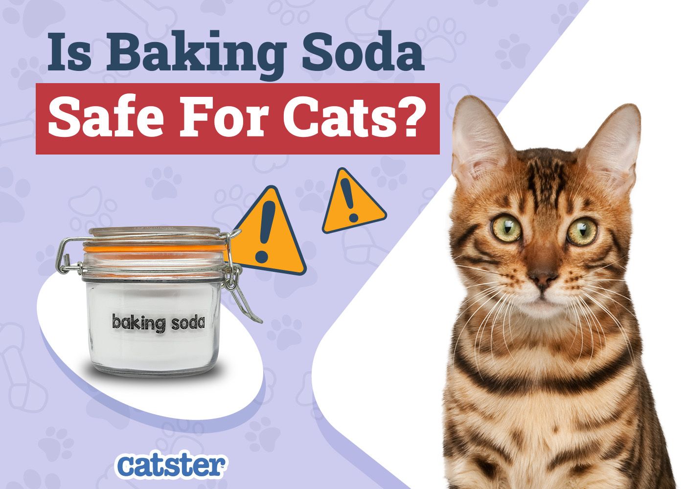 Catster_Is Baking Soda Safe for Cats