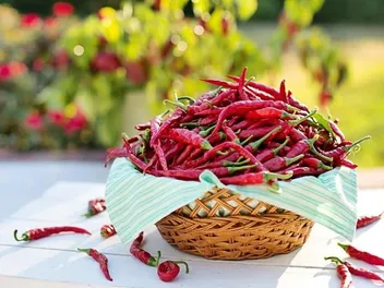 Will Cayenne Pepper Keep Cats Away? Vet-Reviewed Facts & FAQ