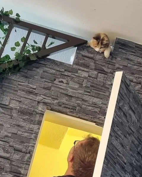 The watcher on the stairway