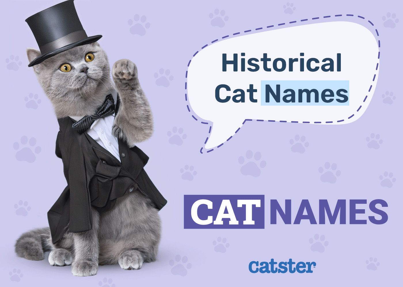 Historical Cat Names Inspired by Ancient Figures