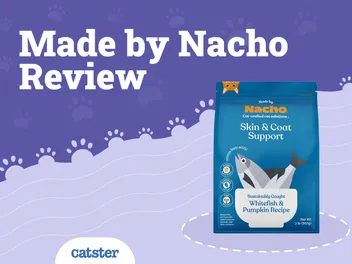 Made by Nacho Cat Food Review 2026: Recalls, Pros & Cons