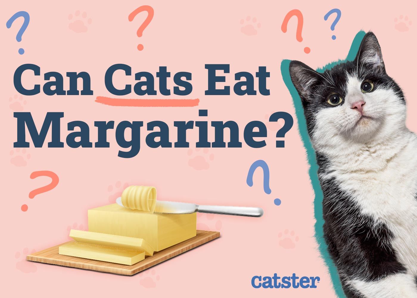 Can Cats Eat Margarine