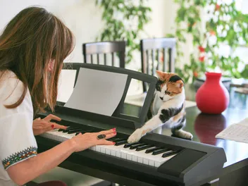How to Sing to Your Cats (& Do They Like It)? Feline Musical Facts