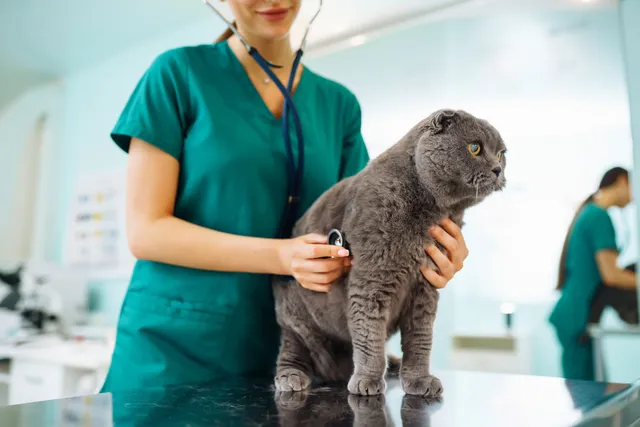 International Day of Veterinary Medicine 2026: History, Significance & More
