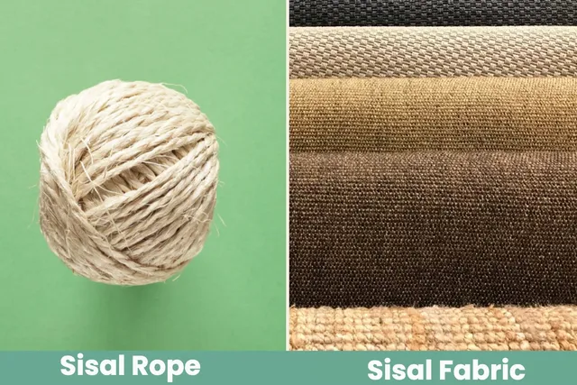Sisal Rope vs. Sisal Fabric for Cat Scratching Posts: Vet-Reviewed Differences, Benefits & FAQ
