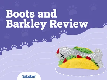 Boots and Barkley Cat Toys Review: Are They Right For My Cat?