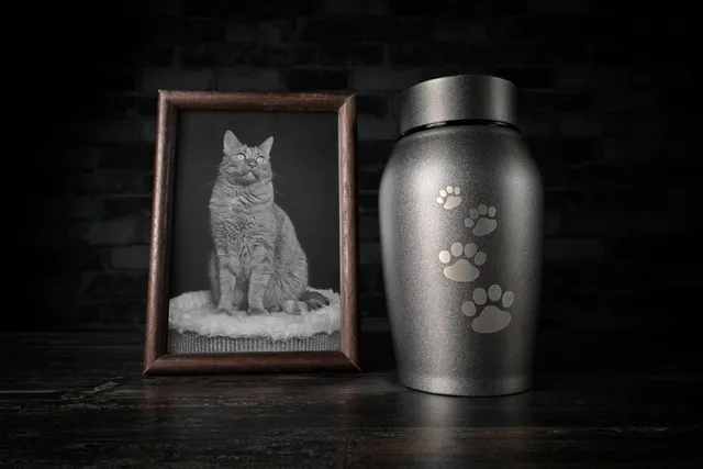 Pet Remembrance Day 2026: How & When to Celebrate