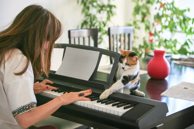 How to Sing to Your Cats (& Do They Like It)? Feline Musical Facts