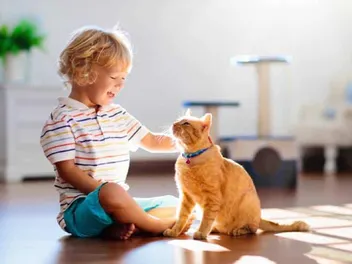 Cats & Toddlers: 6 Tips How to Keep the Peace Between Your Pet & Child (Vet-Verified)