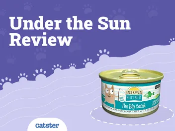 Under the Sun Cat Food Review of 2026: Recalls, Pros & Cons