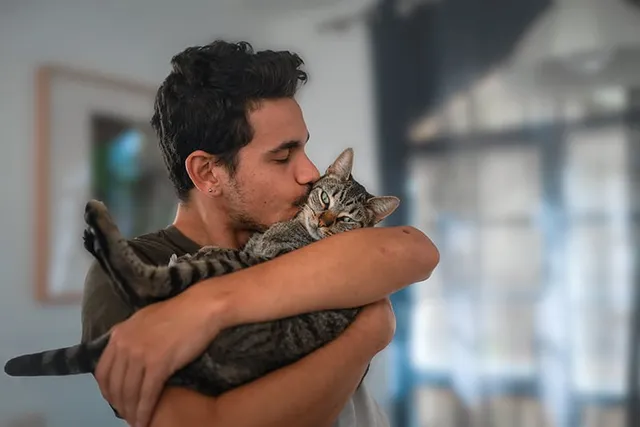 Do Cats Feel Love When You Kiss Them? Vet-Reviewed Facts & FAQ