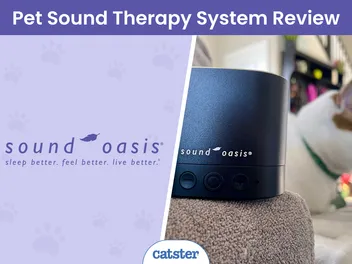 Sound Oasis Pet Sound Therapy System Review 2026: Effective Pet Calming Solution