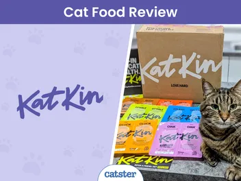 KatKin Fresh Cat Food Review 2026: Our Vet's Opinion