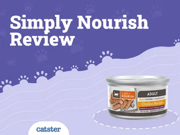 Simply Nourish Cat Food Review of 2026: Recalls, Pros & Cons