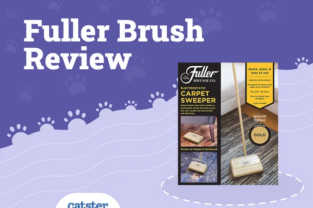 Fuller Brush Electrostatic Carpet Sweeper (2026 Review)