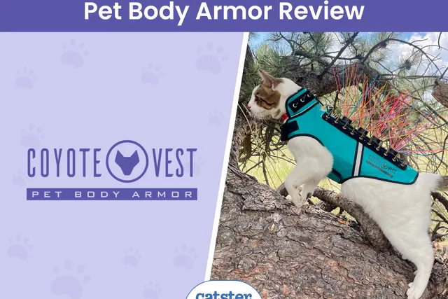 CoyoteVest Pet Body Armor Review 2026: A Detailed Look