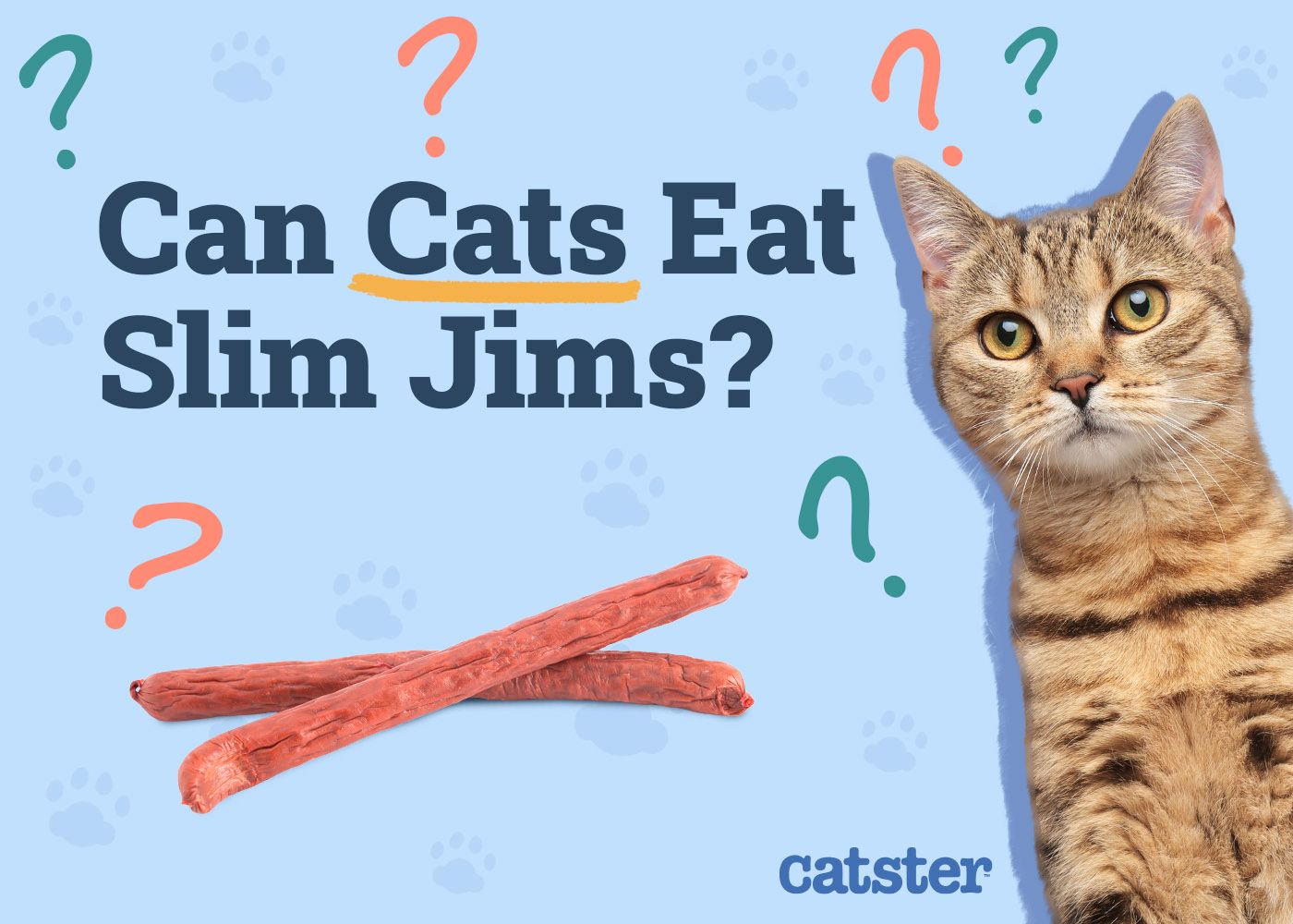 Catster_Can Cats Eat Slim Jims_v1_Dec 4 2024