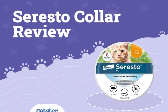 Seresto Flea & Tick Cat Collar Review in 2026: Pros & Cons