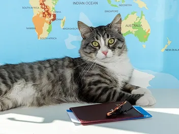 How Much Does a Canadian Pet Passport Cost? (2026 Update)